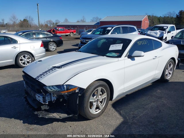 Ford Mustang Ecoboost Fastback 2020 1FA6P8TH8L5178404 Image 2