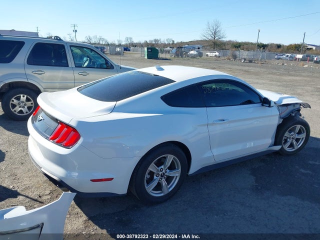 Ford Mustang Ecoboost Fastback 2020 1FA6P8TH8L5178404 Image 4