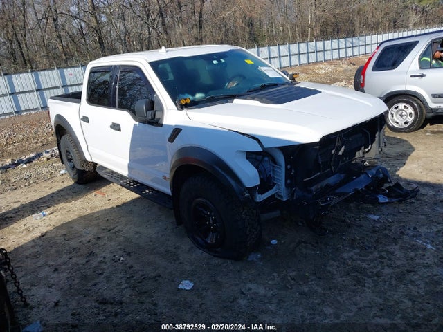 Ford F-150 Raptor 2019 1FTFW1RG4KFB43144 Image 1