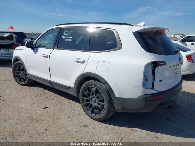 KIA Telluride Sx 2021 5XYP5DHC8MG192192 Image 3