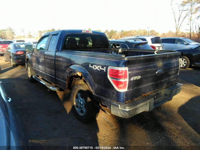2010 FORD F-150 STX/XL/XLT VIN: 1FTEX1E80AFA70196