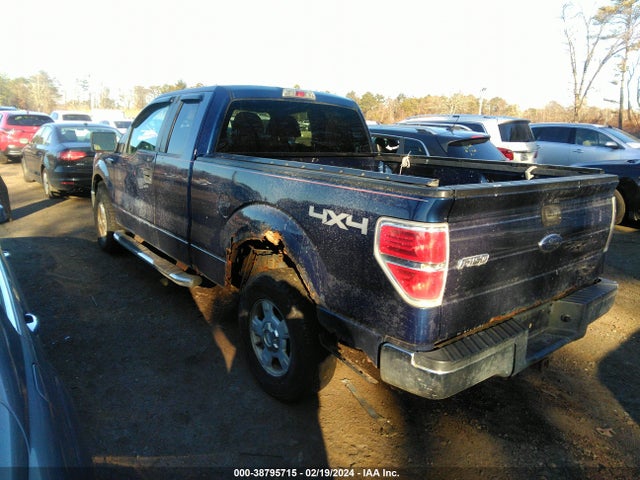 2010 FORD F-150 STX/XL/XLT VIN: 1FTEX1E80AFA70196