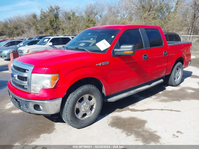 2013 FORD F-150 XLT VIN: 1FTEW1CM8DFA20542
