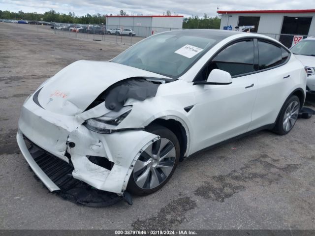 2023 TESLA MODEL Y 7SAYGDEE1PF612426 Photo 1