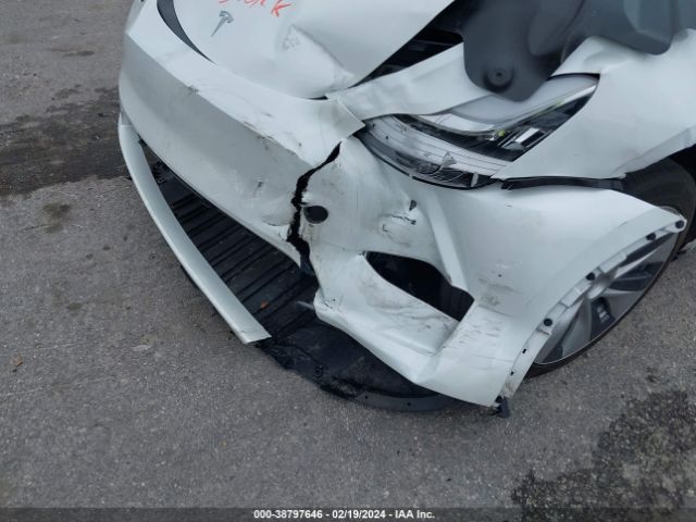 2023 TESLA MODEL Y 7SAYGDEE1PF612426 Photo 5