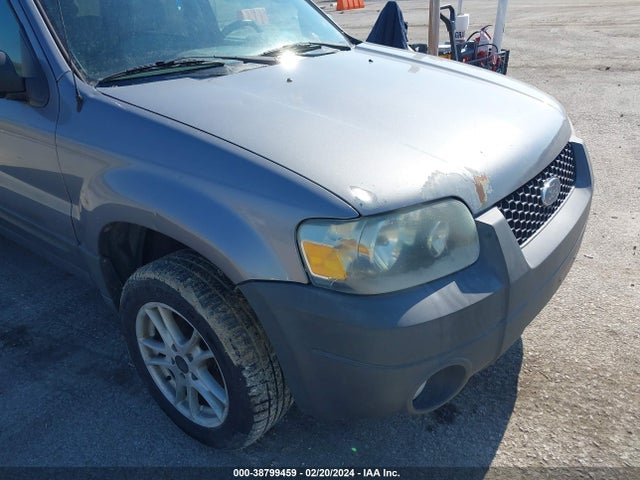 2007 FORD ESCAPE XLT/XLT SPORT VIN: 1FMCU031X7KA21602