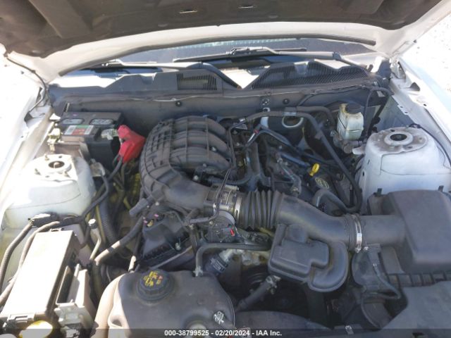 1ZVBP8AM7E5294007 Ford Mustang V6 Premium