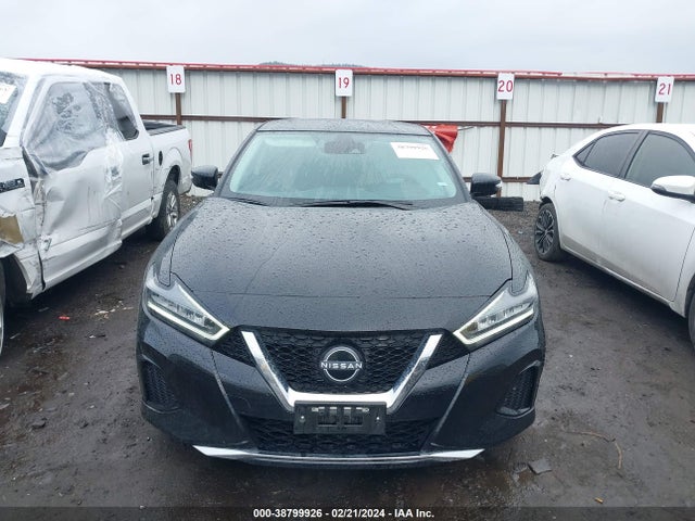 2023 NISSAN MAXIMA SV XTRONIC CVT VIN: 1N4AA6CV2PC508867