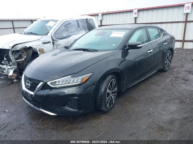 2023 NISSAN MAXIMA SV XTRONIC CVT VIN: 1N4AA6CV2PC508867