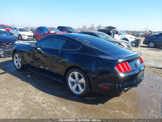 Ford Mustang V6 2016 1FA6P8AM0G5264778 Image 3