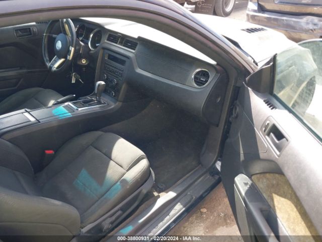 1ZVBP8CF8E5293138 Ford MUSTANG GT