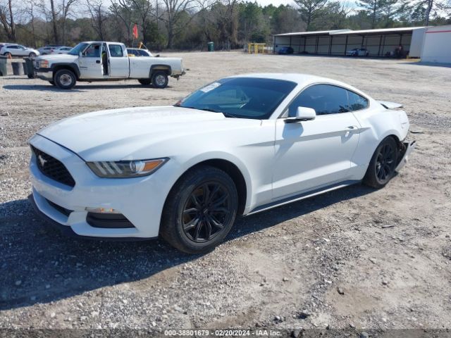 1FA6P8AM3F5390339 Ford Mustang V6