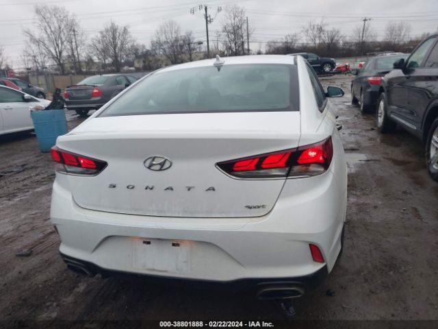 5NPE34AF8KH792900 Hyundai Sonata Sport