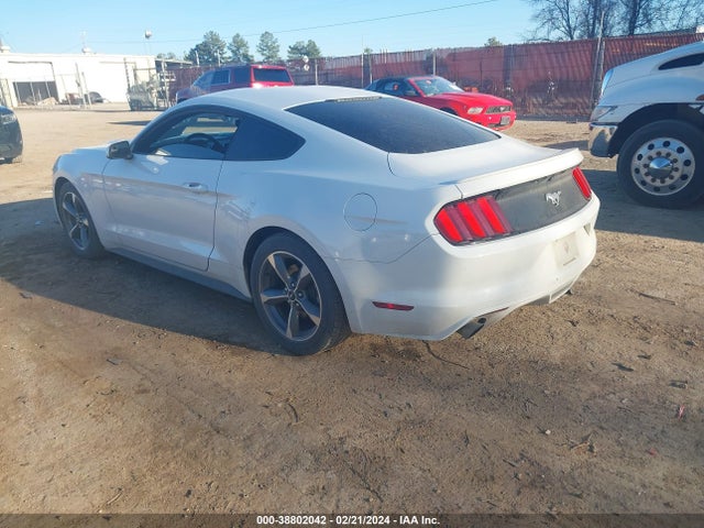 Ford Mustang Ecoboost 2017 1FA6P8TH5H5235228 Image 3