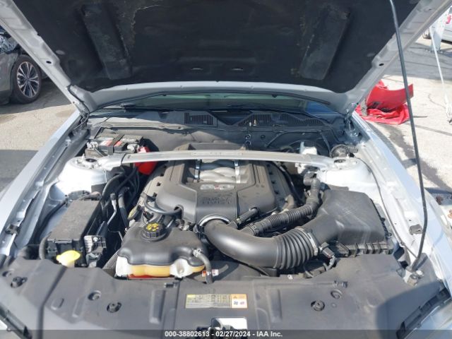 1ZVBP8FFXE5206660 Ford Mustang Gt Premium