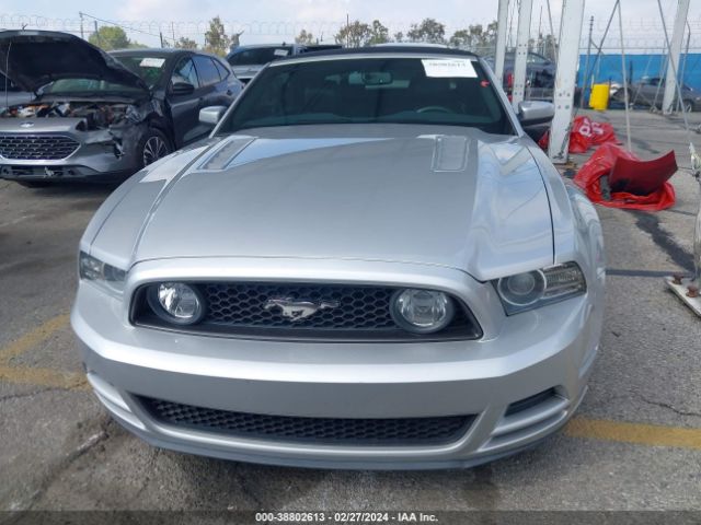 1ZVBP8FFXE5206660 Ford Mustang Gt Premium