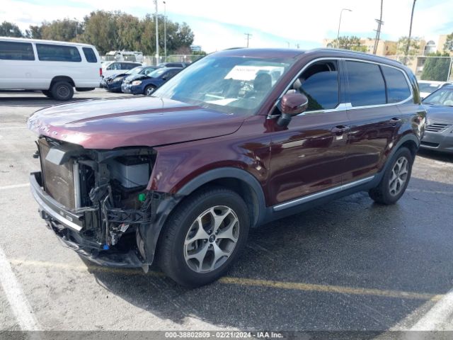 5XYP34HC0LG002924 KIA Telluride Ex
