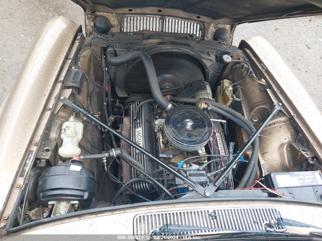 1987 JAGUAR XJ6 SAJAY1340HC470574 Photo 9