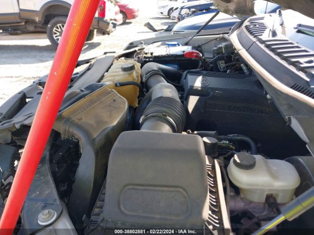 1FTEW1C49KKC11004 Ford F-150 Xlt