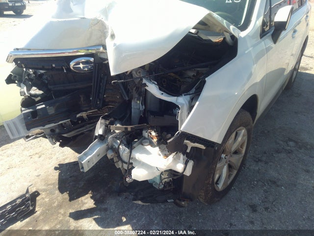 Subaru Forester 2.5i Premium 2015 JF2SJAFC5FH582699 Image 12