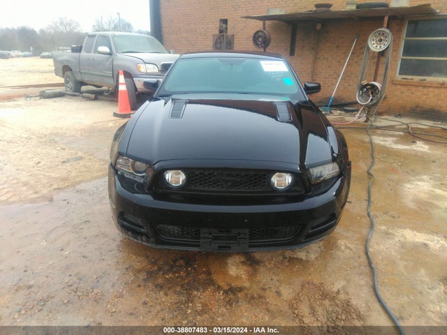Ford MUSTANG GT 2014 1ZVBP8CF2E5207905 Image 12