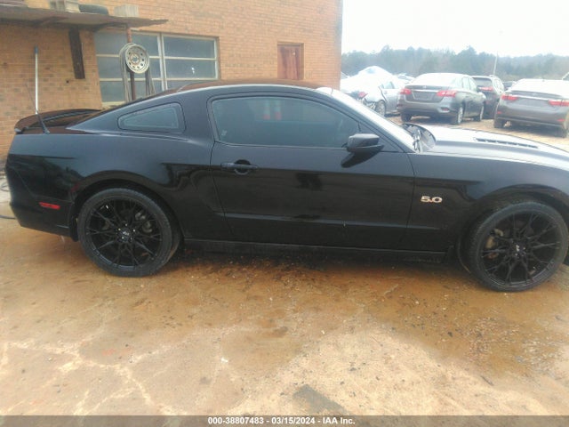 Ford MUSTANG GT 2014 1ZVBP8CF2E5207905 Image 13