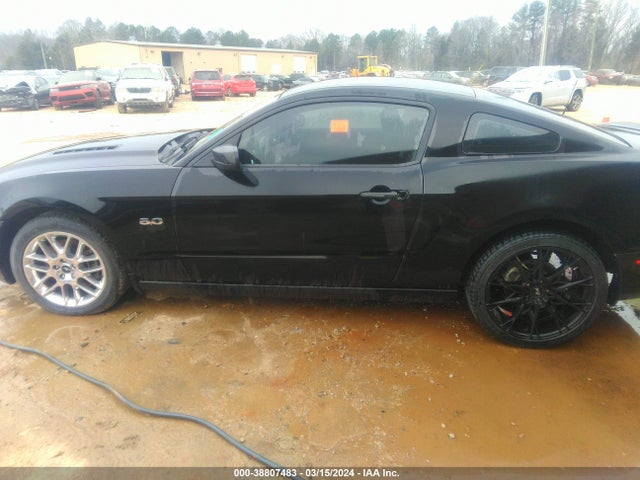 Ford MUSTANG GT 2014 1ZVBP8CF2E5207905 Image 14