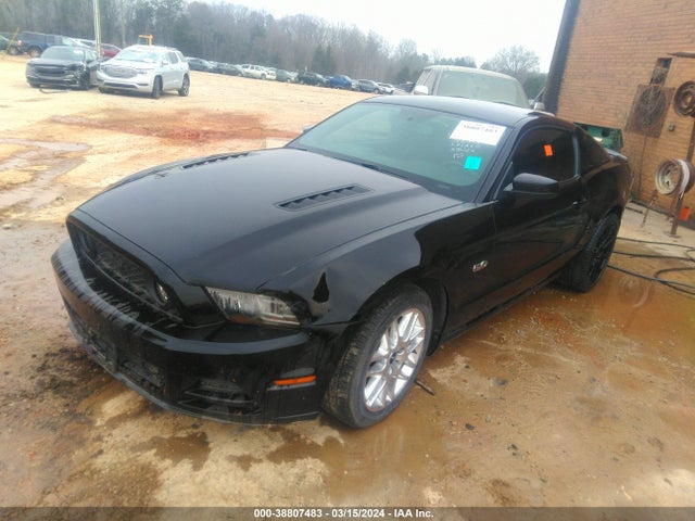 Ford MUSTANG GT 2014 1ZVBP8CF2E5207905 Image 2