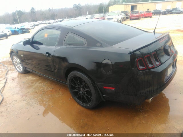 Ford MUSTANG GT 2014 1ZVBP8CF2E5207905 Image 3