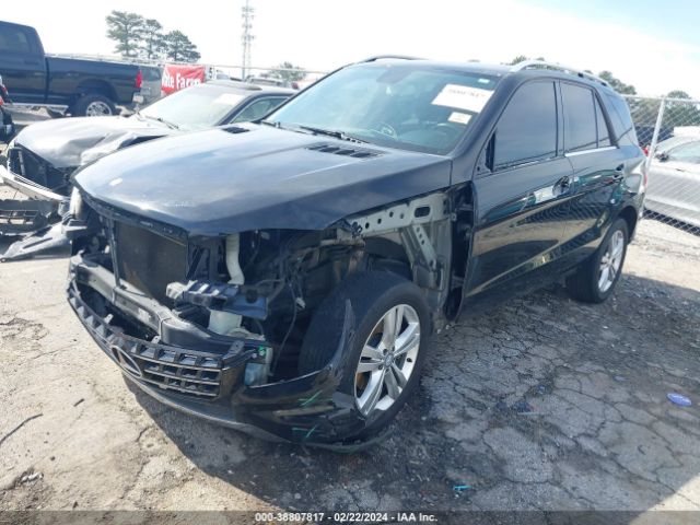 4JGDA5JB6FA528166 Mercedes-Benz ML 350