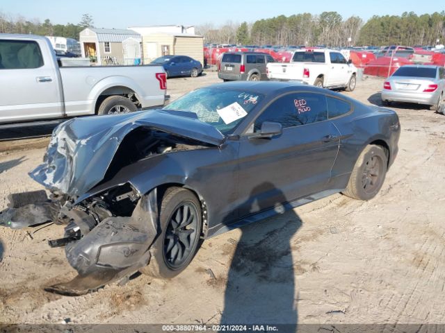 1FA6P8AM0F5316439 Ford Mustang V6