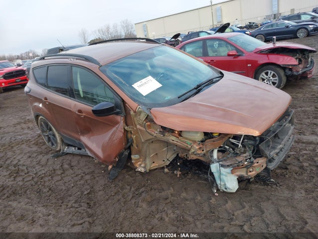Ford ESCAPE SE 2017 1FMCU9GD9HUA60258 Image 1