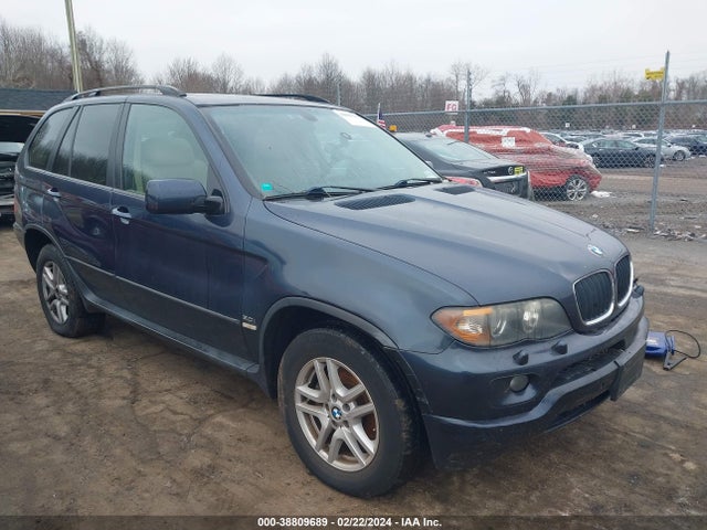 2006 BMW X5 3.0I VIN: 5UXFA13576LY35958