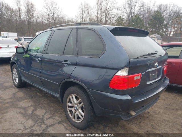 2006 BMW X5 3.0I VIN: 5UXFA13576LY35958