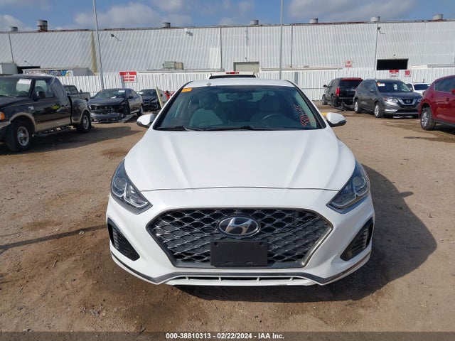 Hyundai SONATA SEL 2019 5NPE34AF4KH770263 Image 12