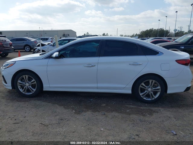 Hyundai SONATA SEL 2019 5NPE34AF4KH770263 Image 14