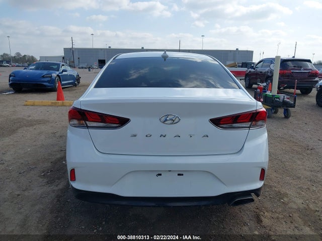 Hyundai SONATA SEL 2019 5NPE34AF4KH770263 Image 16