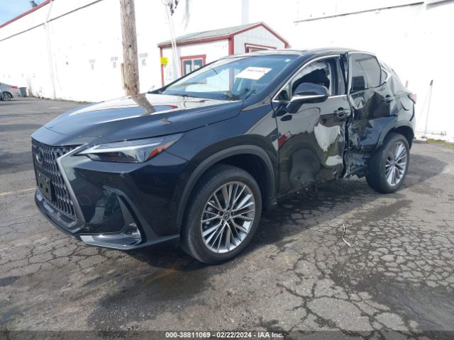 JTJHGCEZ1R5008080 Lexus Nx 350 Luxury