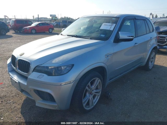 2010 BMW X5 M 5YMGY0C55ALK25326 Photo 1
