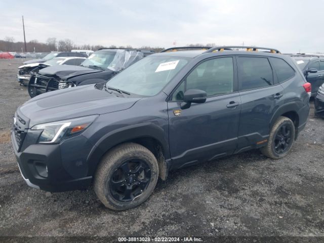 JF2SKAMCXPH518076 Subaru Forester Wilderness