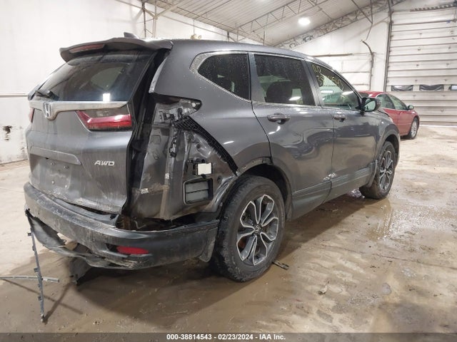 Honda Cr-v Awd Ex-l 2021 5J6RW2H82ML018901 Image 4