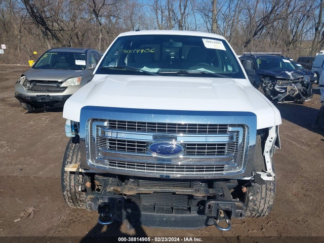 Ford F-150 Xlt 2014 1FTFW1ET8EKF52732 Image 12