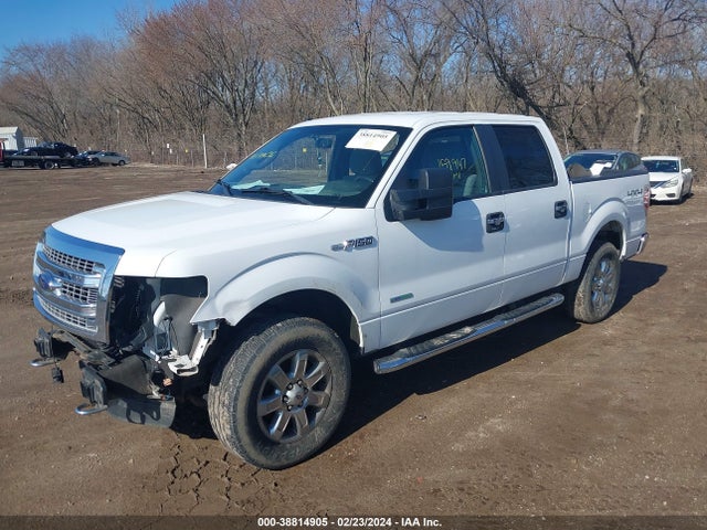 Ford F-150 Xlt 2014 1FTFW1ET8EKF52732 Image 2