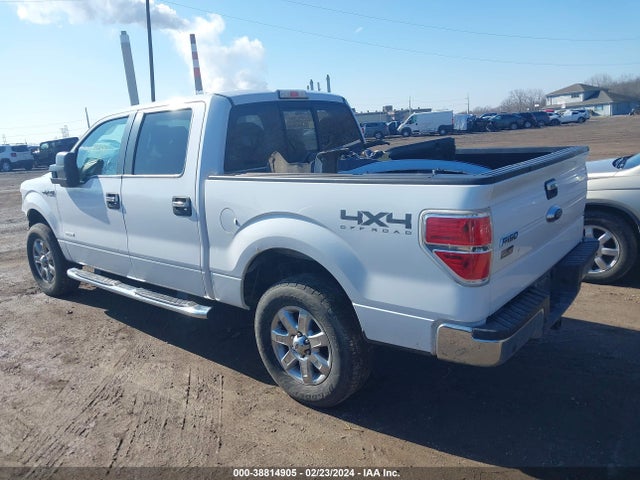 Ford F-150 Xlt 2014 1FTFW1ET8EKF52732 Image 3