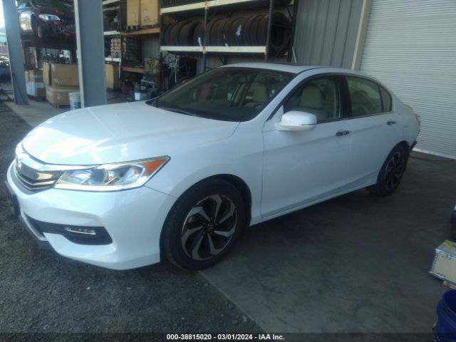 1HGCR2F8XHA181174 Honda Accord Ex-l