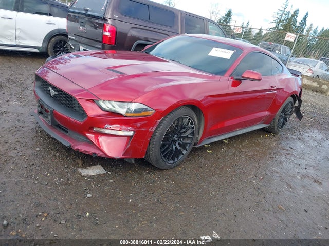 Ford Mustang Ecoboost 2018 1FA6P8TH3J5114882 Image 2
