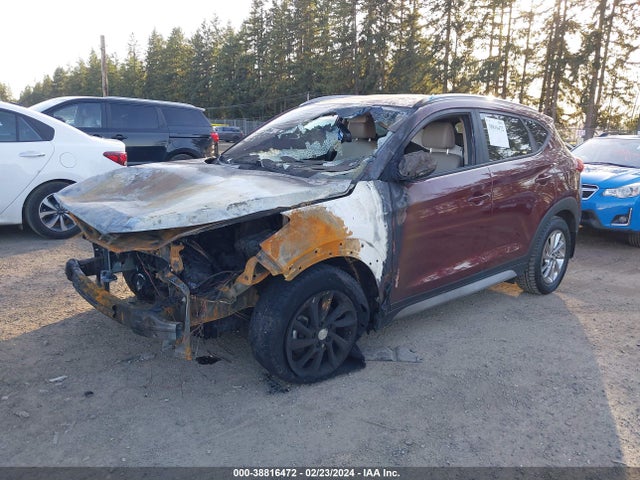 Hyundai Tucson Se Plus 2017 KM8J3CA42HU523793 Image 2
