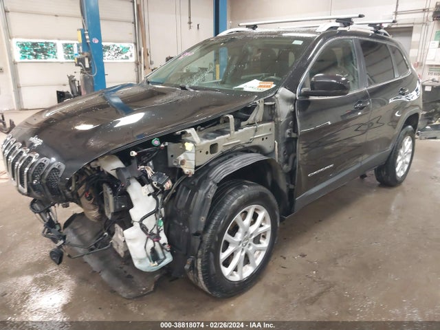 Jeep Cherokee Limited 2014 1C4PJMDS6EW249938 Image 2