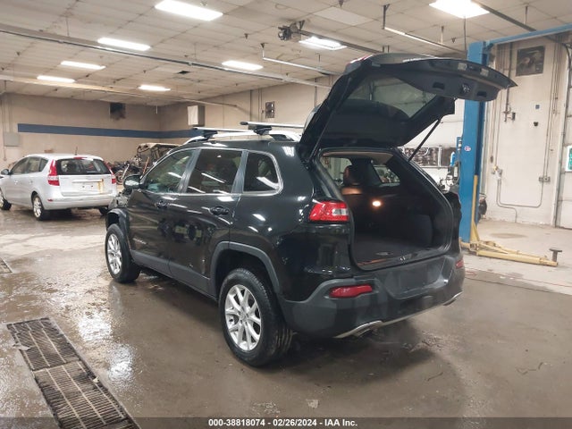 Jeep Cherokee Limited 2014 1C4PJMDS6EW249938 Image 3