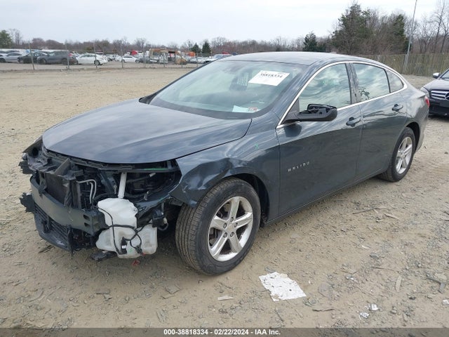Chevrolet Malibu 1fl 2019 1G1ZC5ST4KF136918 Image 2